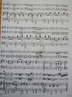 ハンガリア舞曲2.jpg