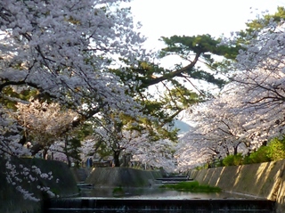 夙川.jpg